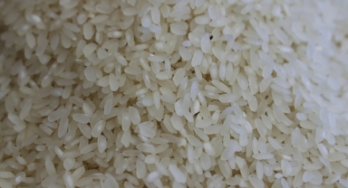 Pirincin genetik haritası çıkarıldı