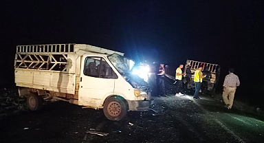 Şanlıurfa'da iki kamyonetin çarpıştığı kazada 3 kişi yaralandı