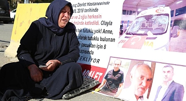 Emine Şenyaşar hakkında hapis cezası istendi