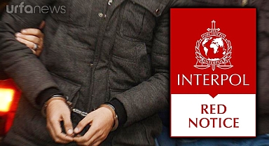 İnterpol'ün kırmızı bültenle aradığı zanlı Şanlıurfa'da yakalandı