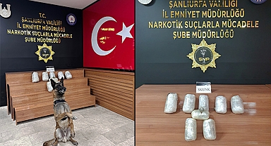 Şanlıurfa'da 9 kilo skunk ele geçirildi