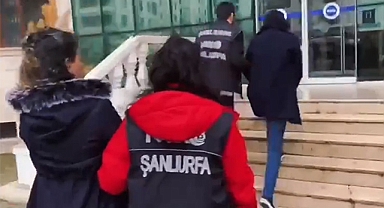 Şanlıurfa'da suç örgütüne operasyon: Çok sayıda gözaltı