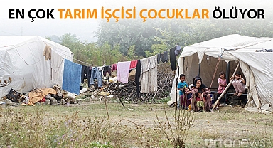 Şanlıurfa çocuk işçi ölümlerinde ilk sırada