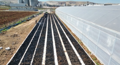 Şanlıurfa'da öğrenciler 'keten köyneği' fıstığı ekti