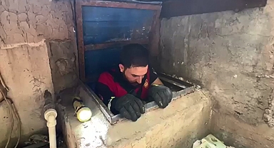 Şanlıurfa'da itfaiyeden kedi kurtarma operasyonu
