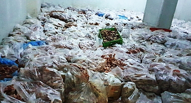 Şanlıurfa'da etiketsiz 10 ton tavuk ele geçirildi