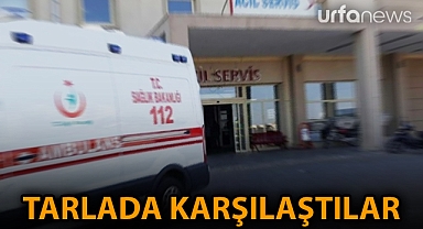 Şanlıurfa'da iki aile arasında taşlı sopalı kavga: Yaralılar var