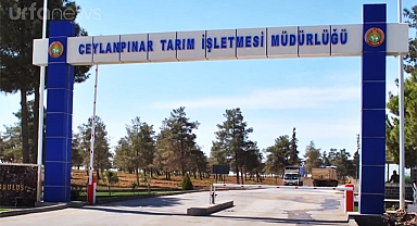 Şanlıurfa'da işçiler yedikleri yemekten zehirlendi iddiası