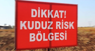 Şanlıurfa'da kuduz vakası: Bölge karantinaya alındı