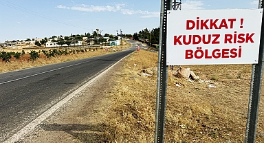 Şanlıurfa Valiliği'nden kuduz açıklaması: İki mahalle karantinada