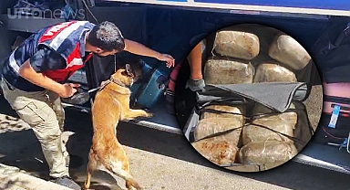 Şanlıurfa'da bir yolcunun valizinden 69 kilo esrar çıktı
