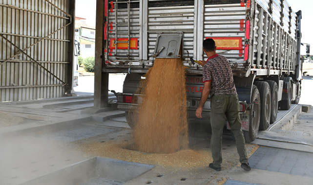 Şanlıurfa&#039;da bu sezon 2 milyon 200 bin ton buğday yetiştirildi