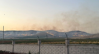 Şanlıurfa'daki mera yangınında flaş gelişme