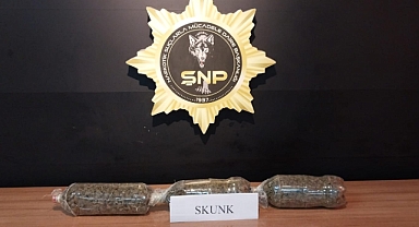 Şanlıurfa'daki uyuşturucu operasyonunda iki gözaltı