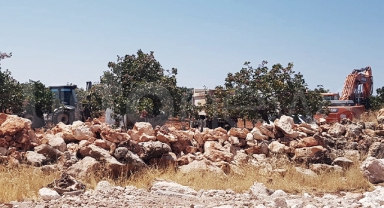 Halfeti'de yüzlerce dönüm fıstıklık TOKİ'ye devredildi