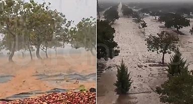 Şanlıurfa'yı sel vurdu