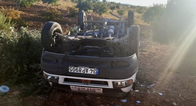 Şanlıurfa'da minibüs devrildi: 5 yaralı