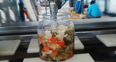 Şanlıurfa'da bir işletmeye hijyen cezası