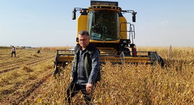 Suruç'ta alternatif ürün olarak ekilen soya fasulyesinin hasadı başladı