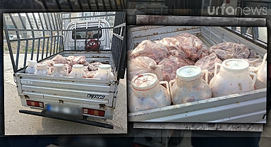 Şanlıurfa'da 400 kilo sakatata el konuldu