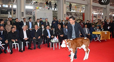 Şanlıurfa'daki fuar renkli görüntülere sahne oluyor