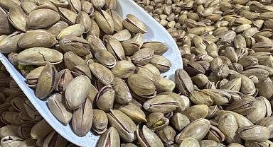 Güneydoğu'nun ihracatında fıstık zirvede