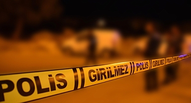 Şanlıurfa'da kamyonun çarptığı yaşlı kadın öldü