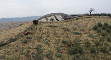 Göbeklitepe'deki zeytin ağaçları yeni yerine taşınıyor