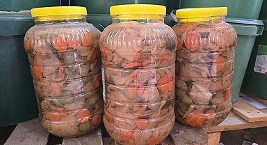 Şanlıurfa'da 30 ton bozuk turşu ele geçirildi