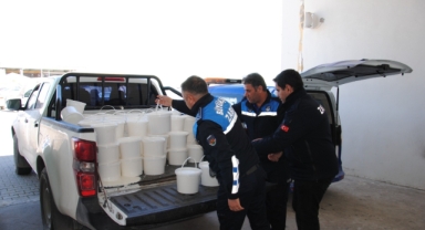 Şanlıurfa'da sağlıksız koşullarda üretilen 500 kilogram yoğurt ele geçirildi