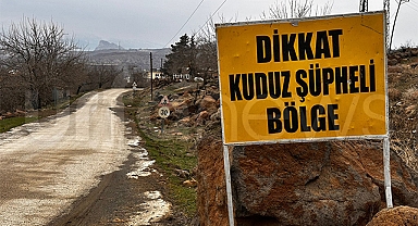 Şanlıurfa'nın ilçesinde kuduz alarmı: Bazı mahalleler karantinaya alındı