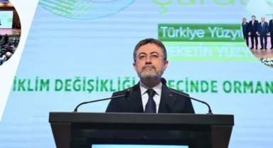 Tarım ve Orman Bakanlığı 8 bin 500 personel alımı yapacak