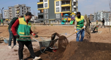 Karaköprü'de yeni parklar çimlendiriliyor