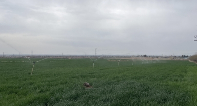 Kuraklıkta suyun etkin ve tasarruflu kullanılması uyarısı