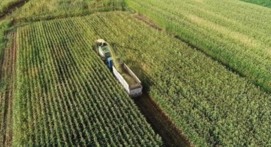 Bakan Yumaklı'dan çiftçilere müjde, ödemeler bugün yapılacak