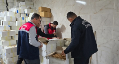 Şanlıurfa'da baklava imalatçısında tonlarca bozuk ceviz bulundu.