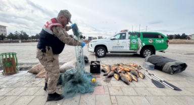 Şanlıurfa'da kaçak avcıya ağır ceza