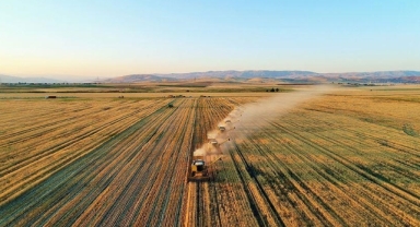 4. Tarım Orman Şurası kararları yarın açıklanacak