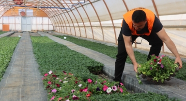 Büyükşehir belediyesi, kendi çiçeğini kendi 