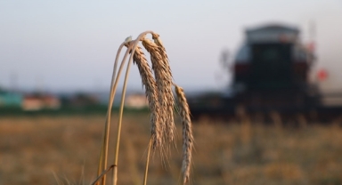 Çiftçilere 5,1 milyar lira destek ödemesi bugün yapılacak