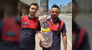 Karaköprü'de bir eve yılan girdi