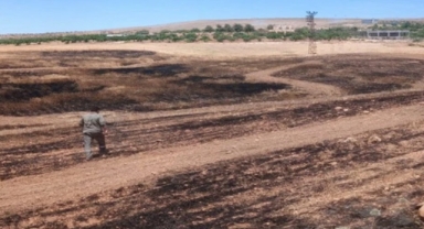 Şanlıurfa'da 40 dönümlük arpa tarlası kül oldu