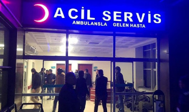 Şanlıurfa'da köpek saldırısı: 16 yaşındaki çocuk hastanelik oldu