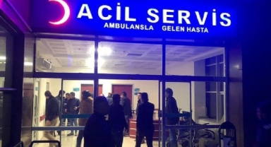 Şanlıurfa'da köpek saldırısı: 16 yaşındaki çocuk hastanelik oldu