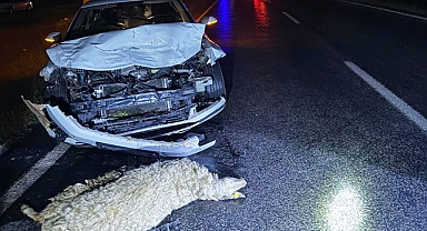 Şanlıurfa'da otomobil sürüye çarptı: Yaralılar var