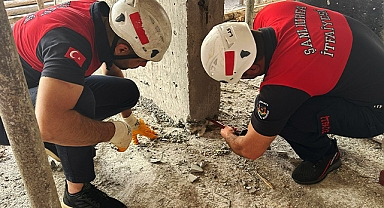 Şanlıurfa'da yavru kedi betonun altında kaldı