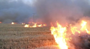 Şanlıurfa Valiliği'nden üreticilere uyarı