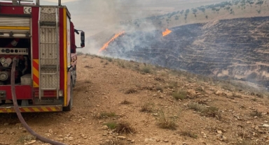 Birecik'te orman yangını