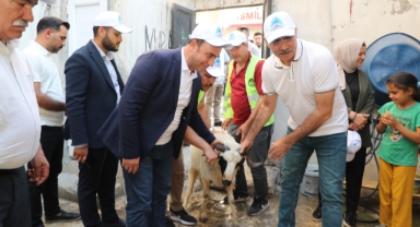 Eyyübiye'de yüzlerce yetim ailesine canlı kurbanlık dağıtıldı