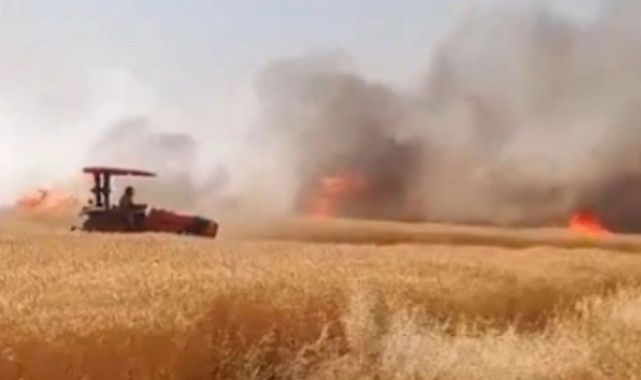 Harran 170 dönümlük buğday tarlası alev alev yandı!
